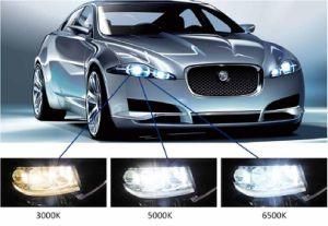 Wholesale 3 Color Temperature LED Auto Light Headlight Conversion