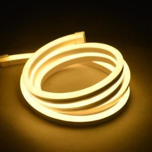 AC110V, AC220V, DC12V, DC24V LED Neon Strip Flexible LED Neon Rope Light