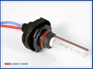 Top Manufacturer Cnlight Auto Accessories Xenon HID Head Lamp