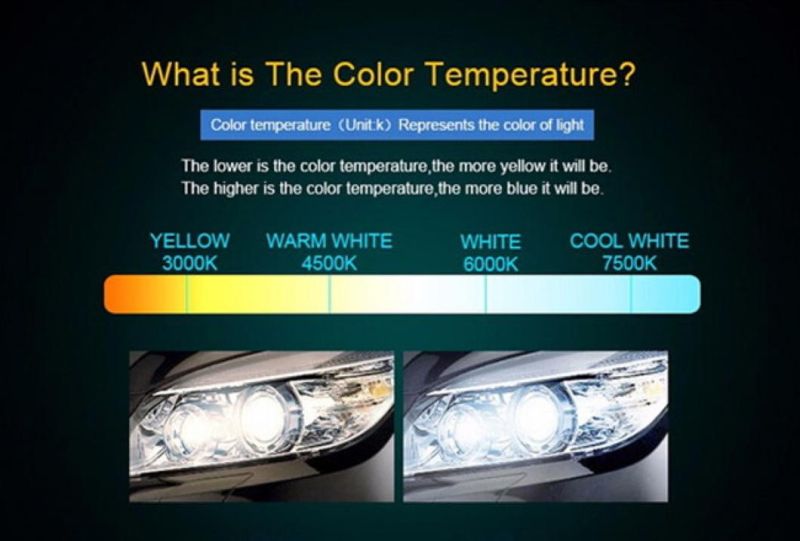 H1 H3 Car LED Headlight Bulbs H7 LED Car Lights H4 880 H11 9005 9006 H13 6000K 12V Auto Headlamps