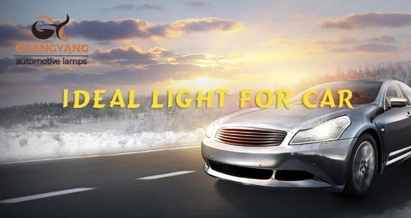 Manufacturer Hpc24wy Fog Lamp 12V 24W Amber Quartz Glass