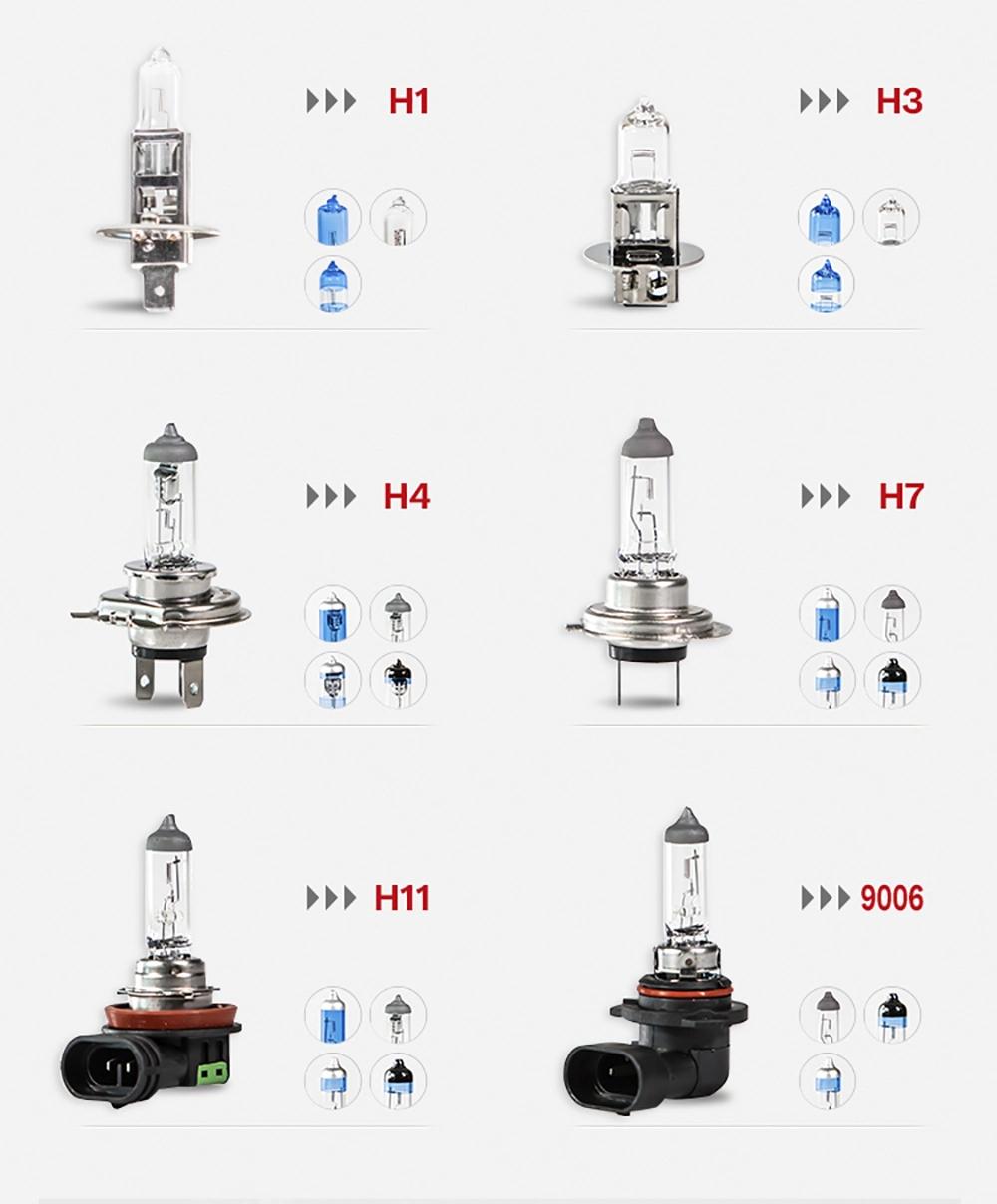 Fagis DOT H11 12V 55W Clear Car Haedlight Auto Halogen Bulbs