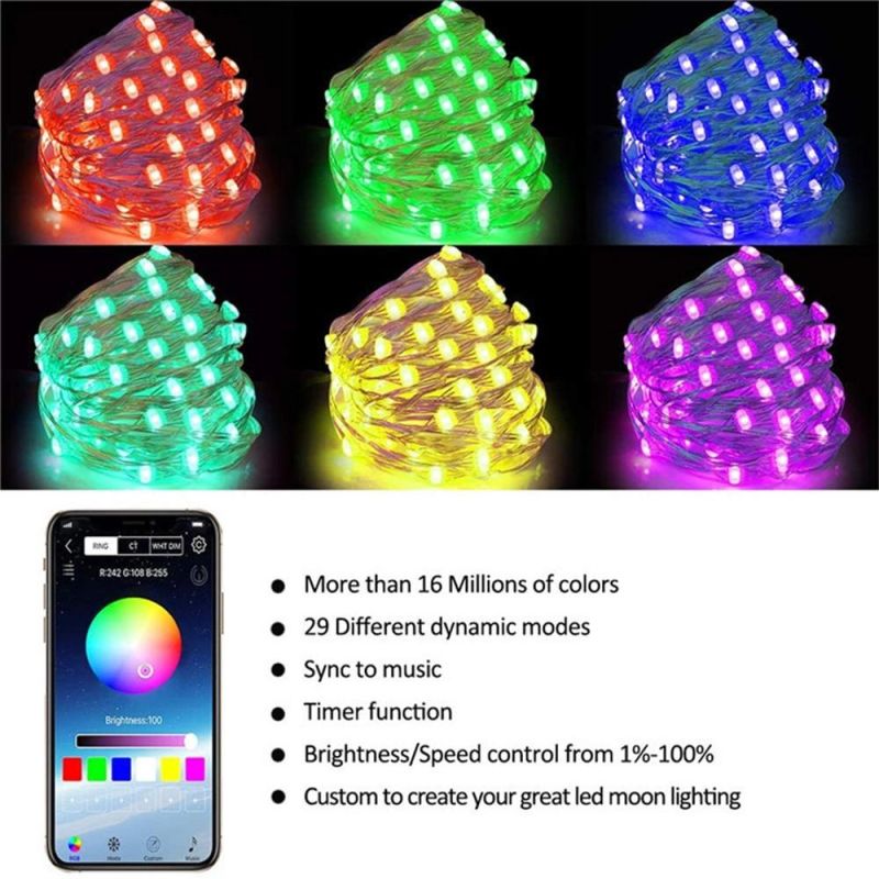Dropshipping APP Control LED String Lights