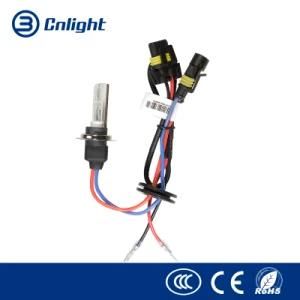 Cnlight 35W 55W Automobile 12V Auto Halogen Replacement Bulbs Vehicle Automotive HID Light Bulbs, Custom Light Kits HID Xenon Bulb