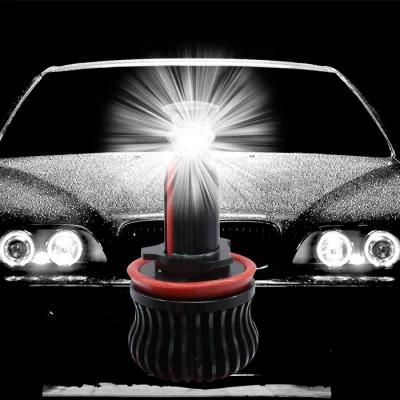 Lightech H8 40W Auto Angel Vission for LED Headlight