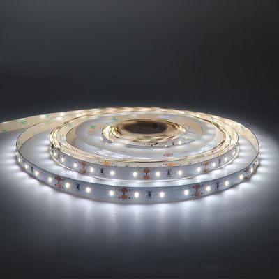 SMD 3014 5meter/ Roll LED Flexible Strip Light
