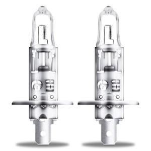 H1 12V 55W P14.5s New Products International Standard Auto Headlight Lights Bulbs Halogen Lamps for Car, Bus and Truck, Car Parts
