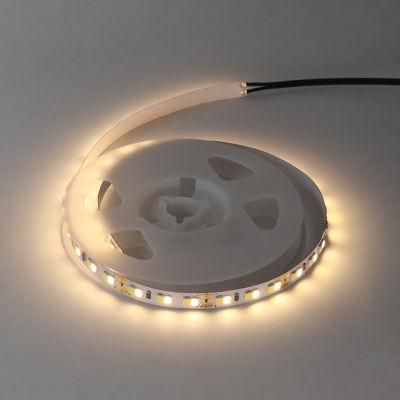 Wholesale Price Double CCT Ribbon LED Flexible Strip Light