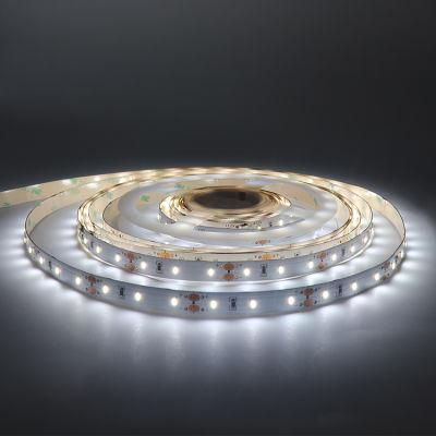 DC12/24V 2835 LED Flexible Strip Light 240LEDs/M LED Bar Light with 3 Years Warranty