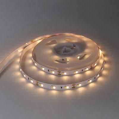 Double CCT LED Flexible Strip Light 5meter/ Roll