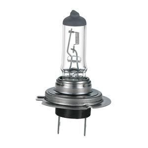 H7 12V 55W Px26D High Quality International Standard Light Lamps Halogen Headlight Auto Bulbs for Car Bus and Truck