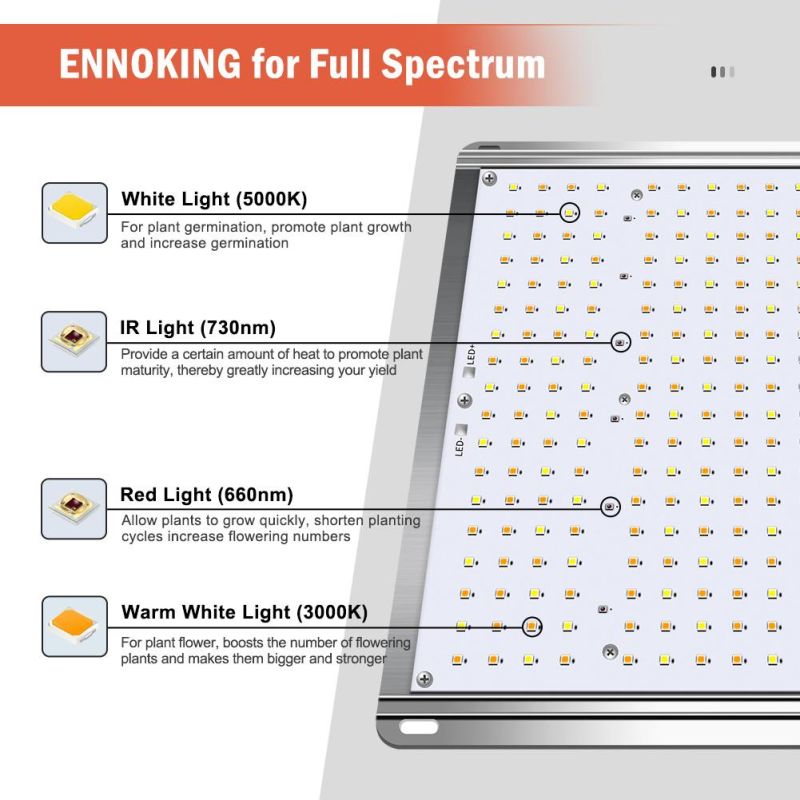 100W Full Spectrum Wholesale LED Grow Light for Medical Crops