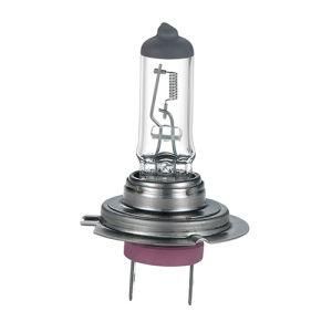 H7 12V 55W Px26D High Selling Car Light Super White Blue Halogen Headlight Lamp Auto Light Bulb for Car Bus and Truck