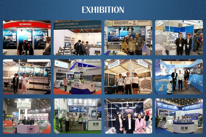 T10 LED Light T10 LED Lamp T10 LED Bulb LED Car Light From Chinese