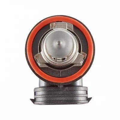 Head Lamp LED Stard Halogen Headlight Car Light Car Lamp Auto Headlamps Auto Headlights