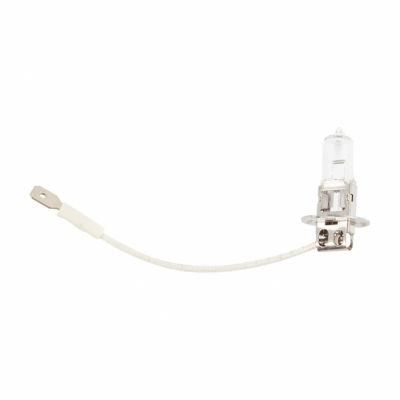 Halogen Lighting Head Auto Lamp Halogen Bulb for Car