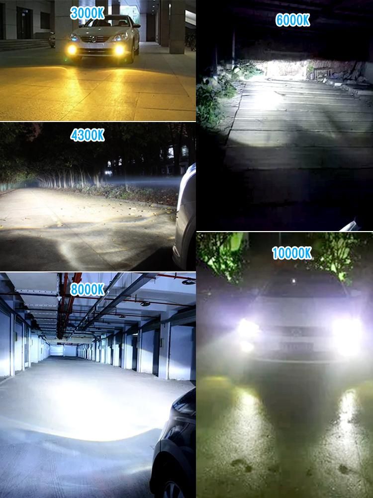 4300K 5500K 6000K 8000K HID Xenon D2s