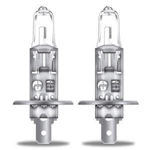 H1 24V 100W P14.5s Wholesale Auto Bulbs International Standard Halogen Lamps Headlight Auto Lights for Car Bus and Truck, Halogen