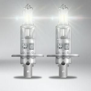H1 12V 100W P14.5s Halogen Lamps International Standar Headlight Auto Bulbs Lights for Car Bus and Truck, Auto Light