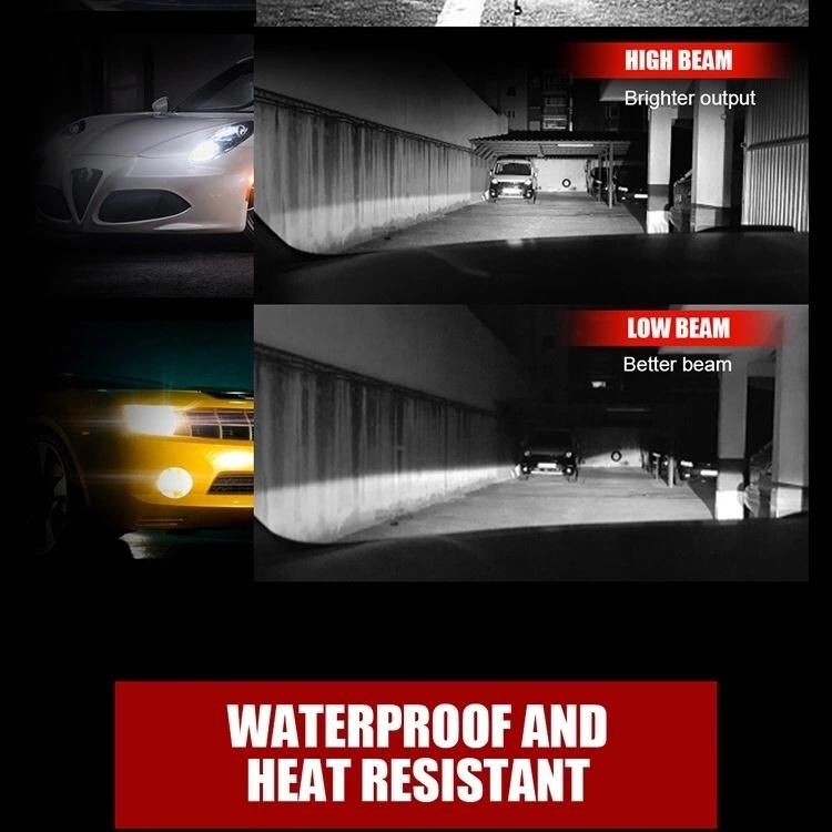 8000 Lm LED Bulbs LED Headlight H4 H16 9005 9006 H11 Truck Car Motorcycle H7 C6 LED H4 Headlight