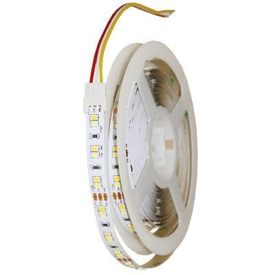 Wholesale Price 12V 3014 60 LEDs/M Single Color High Quality 5meter/ Roll LED Flexible Strip Light