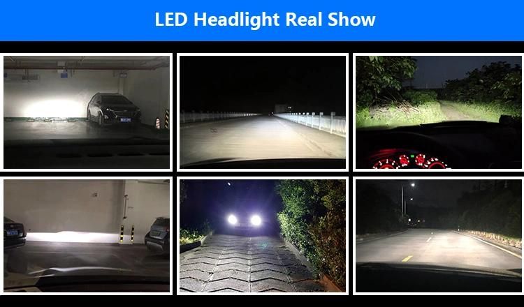 Wholesale OEM ODM 110W LED Lamp H4 H7 H11 9005 Fan 6500K Car Fog Light LED Headlight Bulb