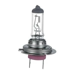H7 12V 55W Px26D International Standard Lights Halogen Headlight Bulbs Auto Lamps for Car Bus and Truck.