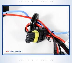 Cnlight EMC H11 12V 3000K Xenon Lamp for Motorcycle