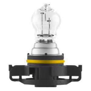 PS19W 12V 19W Pg20-1 Hot New Products Special Model Fog Turn Signal Auto Lights Bulbs Headlight Lamps Halogen for Car Bus and Truck
