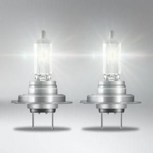 H18 12V 65W Py26D-1 2021 Amazon Hot Sale Car Parts Halogen Lamps Lights Fog Auto Headlight Turn Signal Bulbs for Car Bus and Truck