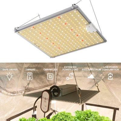 100W 200W 300W Wholesale LED Quantum Board Grow Light for Indoor Gardening Plants