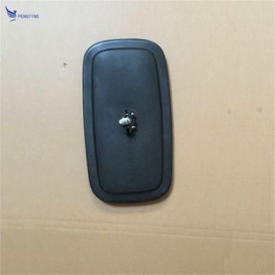 Hot Sale High Quality Truck Side Mirror for Isuzu