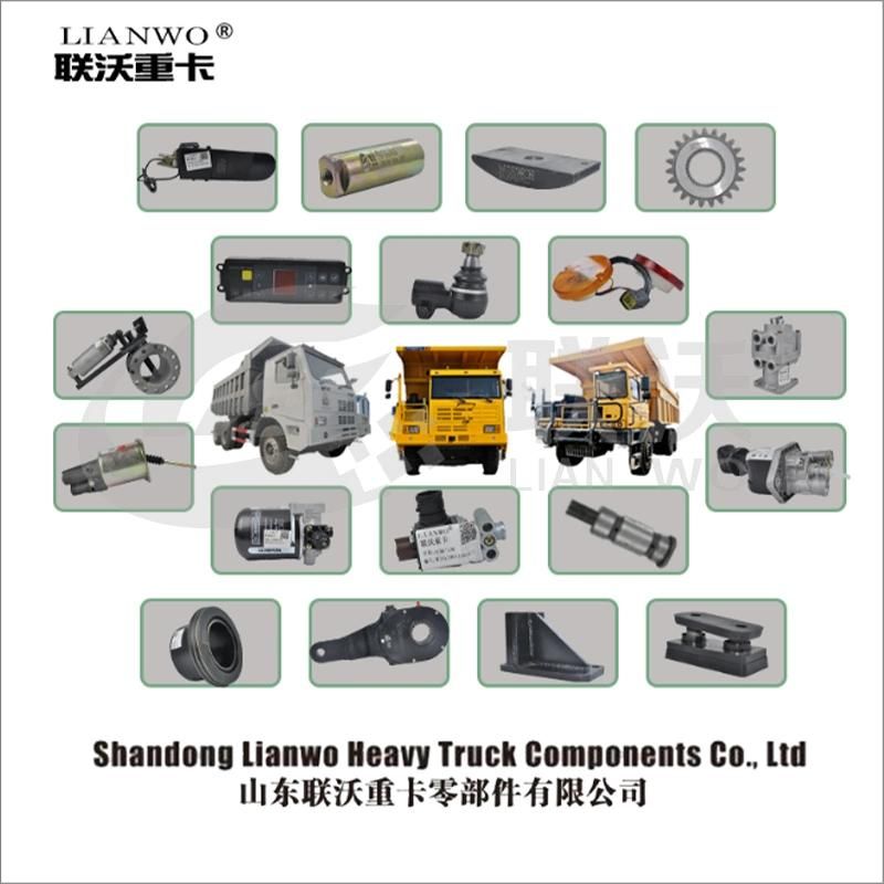 Sinotruk HOWO A7 Truck Shacman F2000 F3000 M3000 Wd615 Wd618 Wd12 Weichai Engine Parts Front Right Combinatory Lamp Wg9719720006