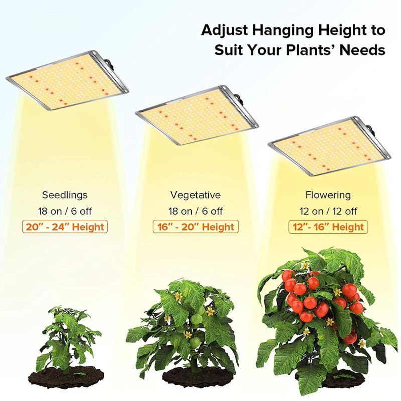 100W Full Spectrum Wholesale LED Grow Light for Medical Crops