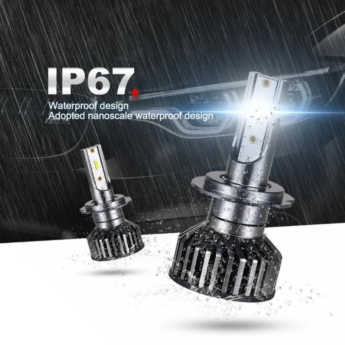 Wholesale F2 Csp H4 LED Headlight Bulbs H7 Car LED Headlight