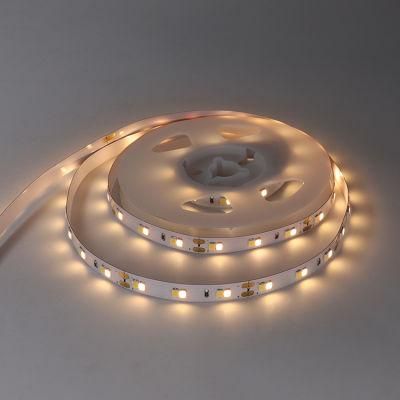 SMD 2835 DC12V Wholesale Price Double CCT Ribbon LED Flexible Strip Light