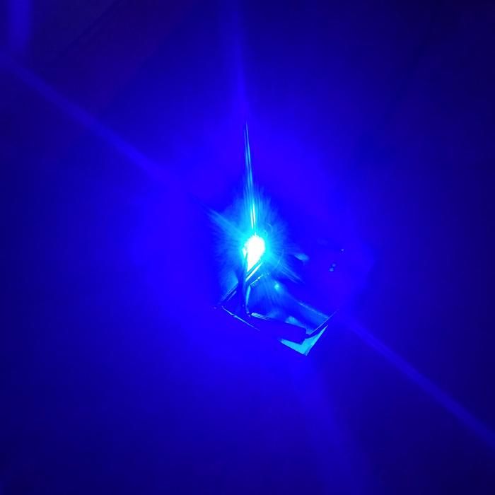Auto Parts 40W Blue H8 Angel Eyes Headlight