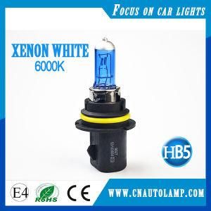 Super White Auto Bulb 9007 Px29t 12V 65/45W