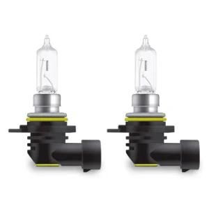 9012 Hir2 12V 60W Px22D Auto Headlight New Generation Halogen Lights Fog Lamps Turn Signal Bulbs for Car Bus and Truck