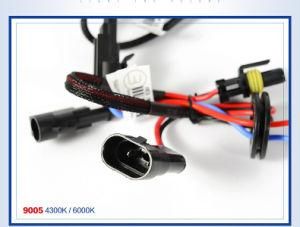 Top Manufacturer Cnlight Vehicle Spare Parts Interior Light Bulbs