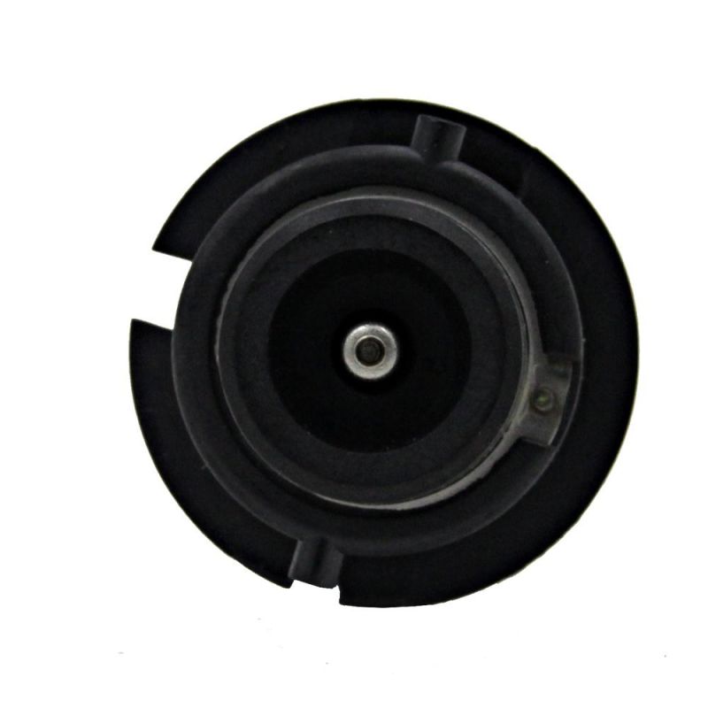 Car Headlight Supplier 4300K 5000K 6000K D4s D1s D2s D3s D2r D4r HID Xenon Bulb