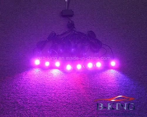 LED Rock Light Control by Cellphone