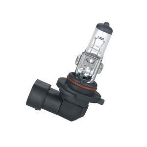 H12 12V 53W Pz26D Auto Lamps Fog Lights Turn Auto Parts Halogen Bulbs Signal Headlight for Car Bus and Truck