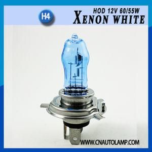 Super White H4 Hod Auto Halogen Bulb 12V 100/90W