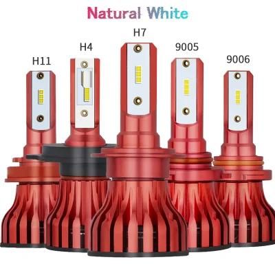 Factory Supply 9005auto Car LED Headlight H11 H4 H7 Light Bulbs LED Head Light 60W