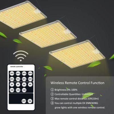 Horticultural LED Grow Lights 100W Quantum Board Grow Light for Indoor Greenhouse